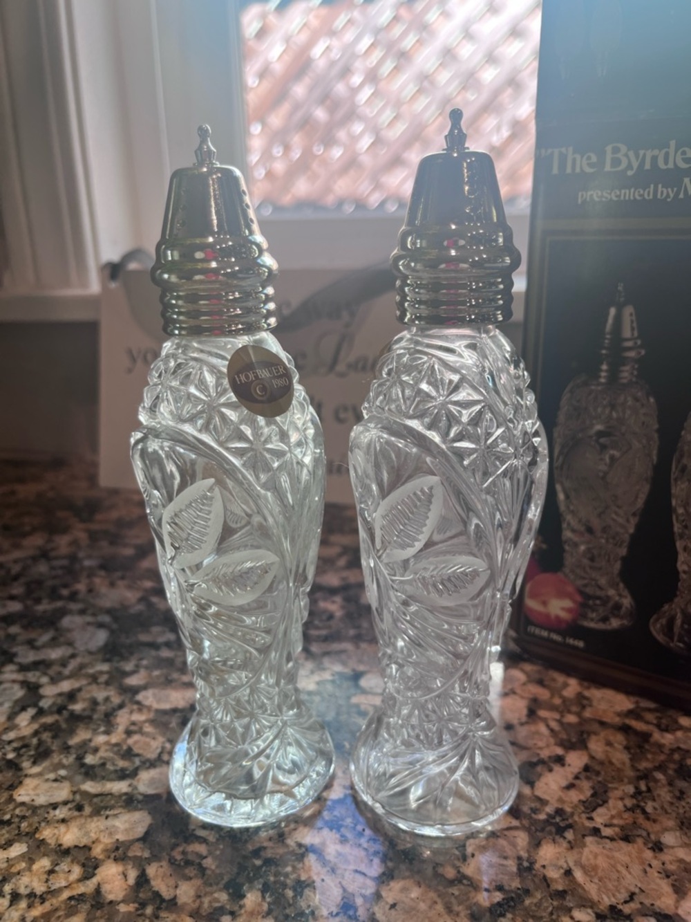 Clear Crystal-Style Glass Salt & Pepper Shakers - Decorative Bird Pattern
